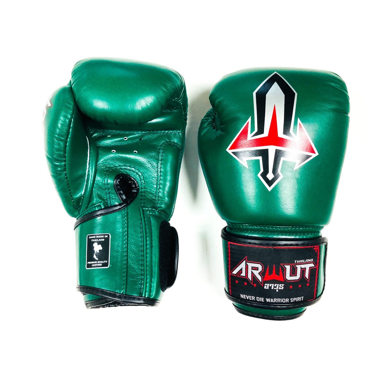ARWUT GLOVES BG1 HOOK-AND-LOOP BOXING GLOVES LEATHER