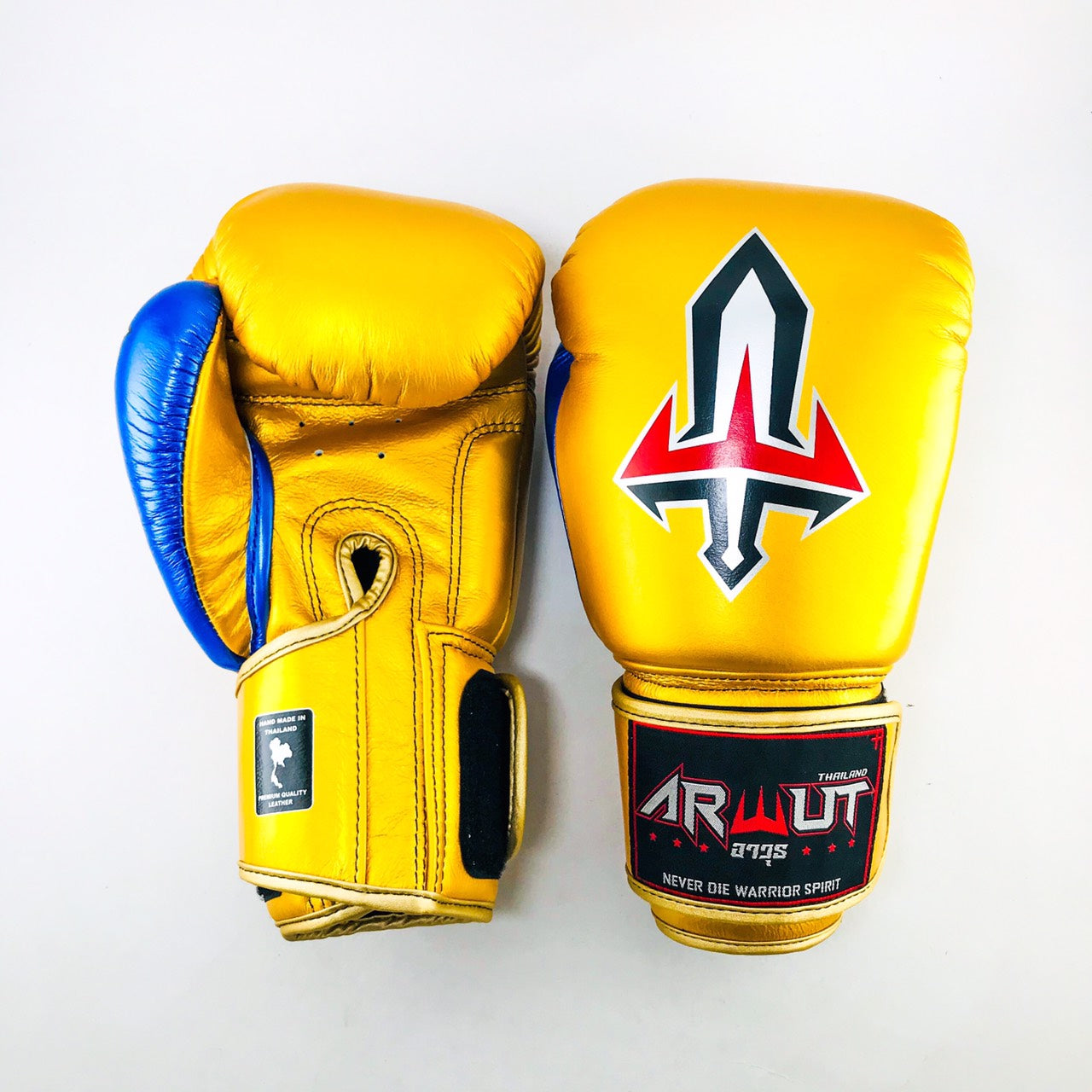 ARWUT GLOVES BG1 HOOK-AND-LOOP BOXING GLOVES LEATHER