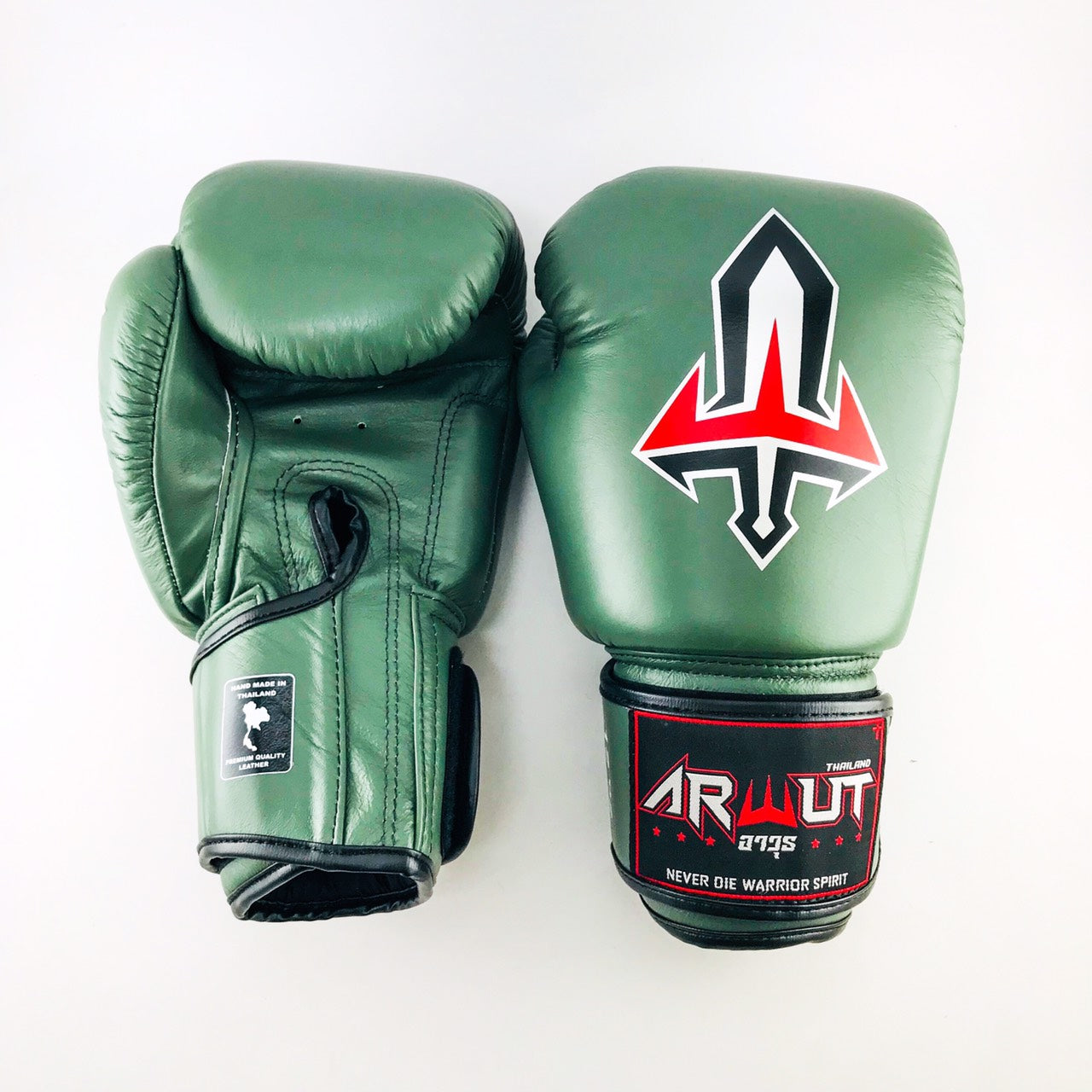ARWUT GLOVES BG1 HOOK-AND-LOOP BOXING GLOVES LEATHER