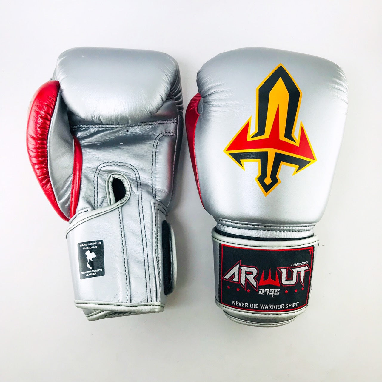 ARWUT GLOVES BG1 HOOK-AND-LOOP BOXING GLOVES LEATHER
