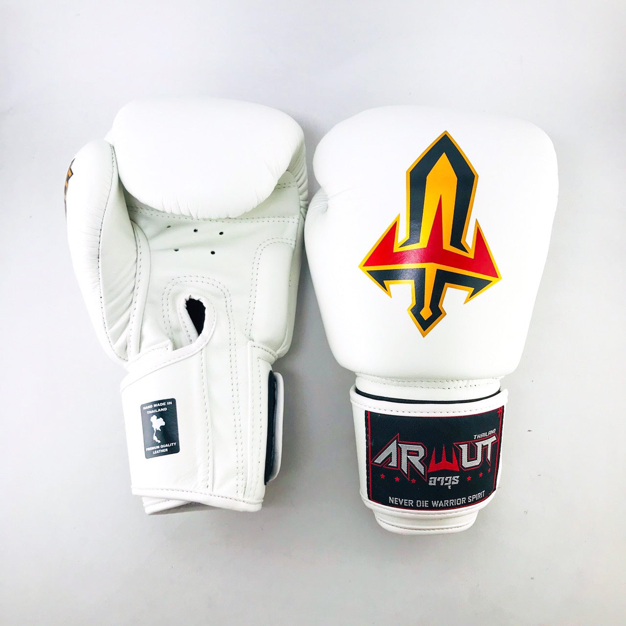 ARWUT GLOVES BG1 HOOK-AND-LOOP BOXING GLOVES LEATHER