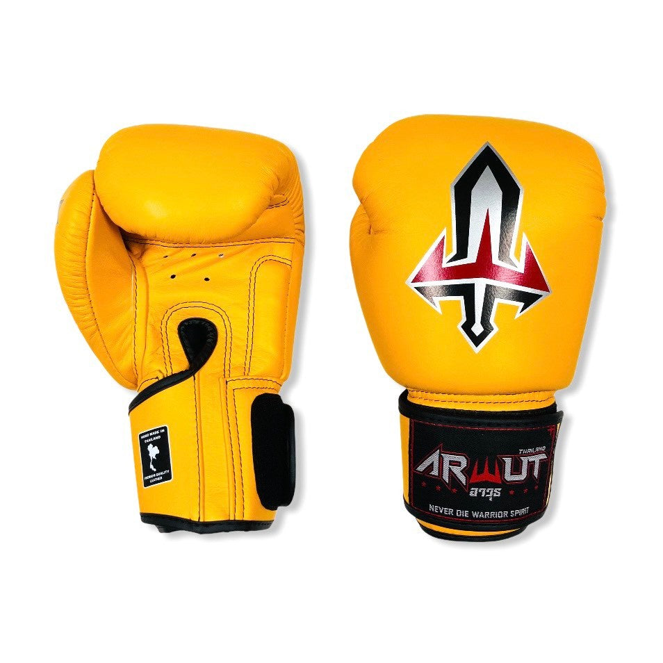 ARWUT GLOVES BG1 HOOK-AND-LOOP BOXING GLOVES LEATHER