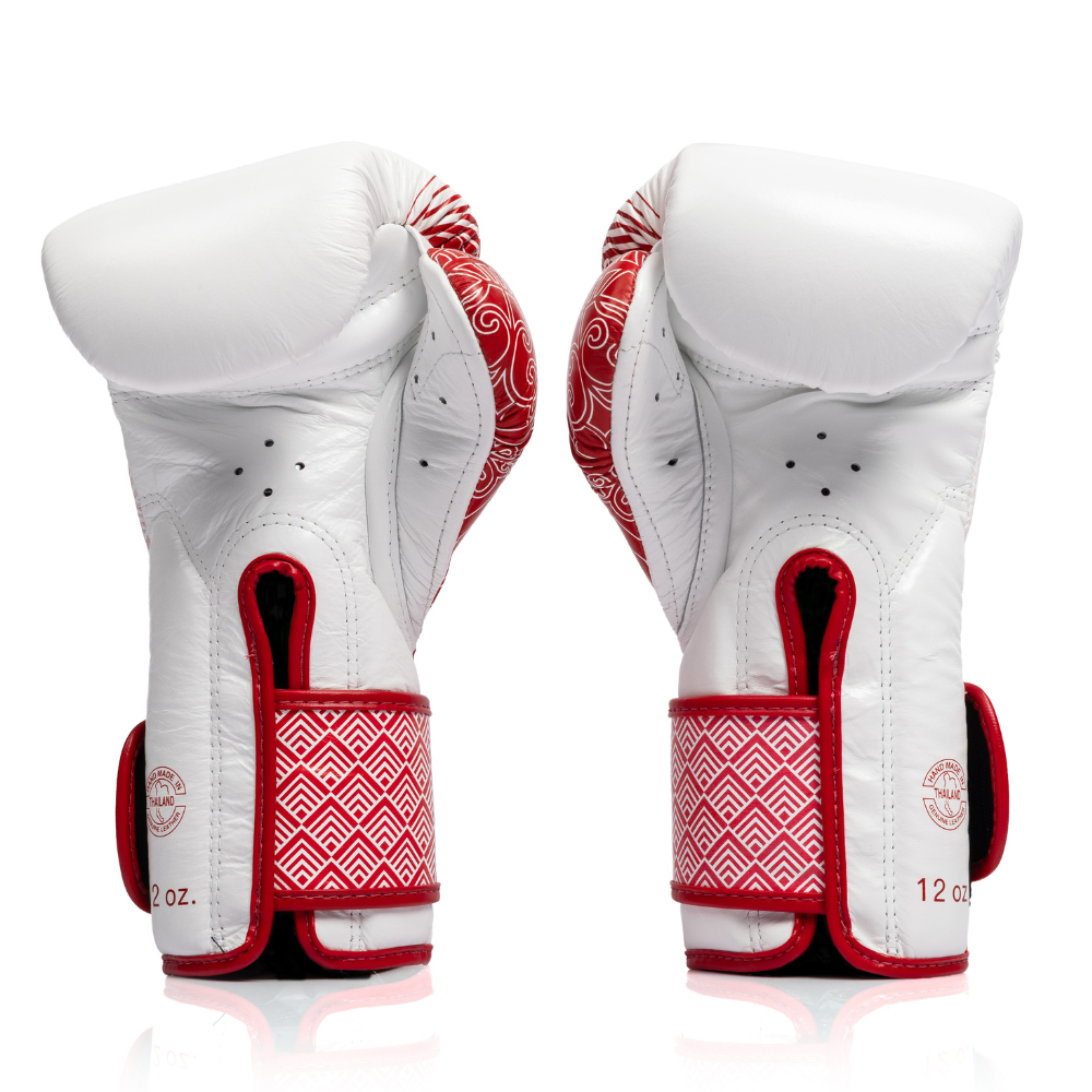 FAIRTEX BOXING GLOVES BGV-R1 RWS (PREORDER)