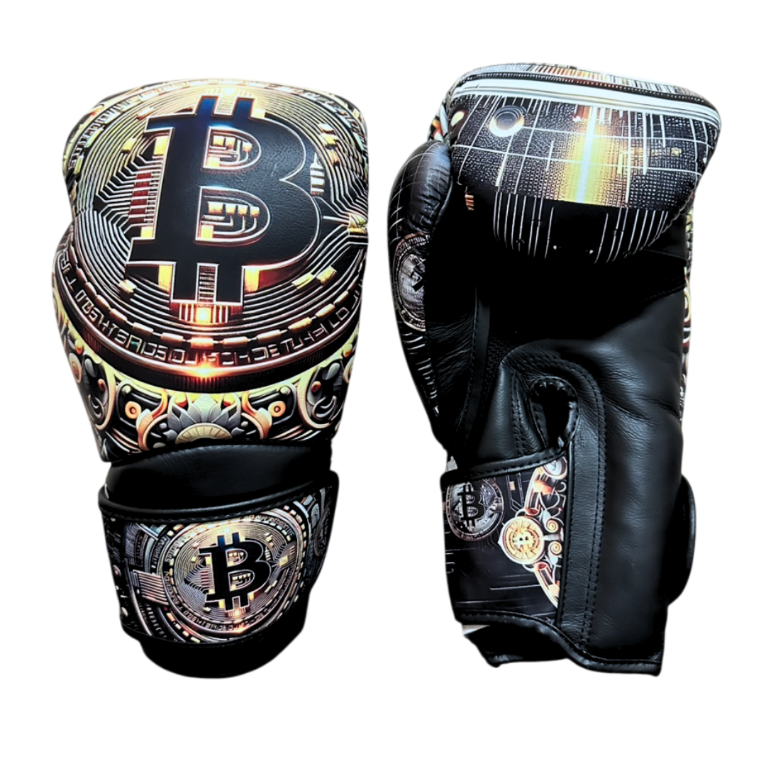 MUAYTHAI J CUSTOM BOXING GLOVES LEATHER HOOK-AND-LOOP