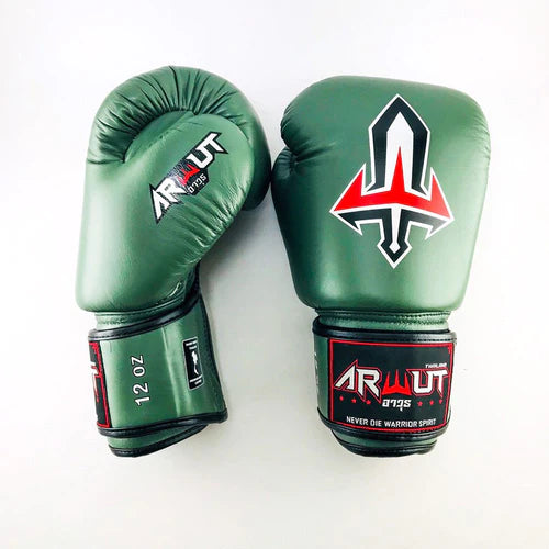 ARWUT GLOVES BG1 HOOK-AND-LOOP BOXING GLOVES LEATHER