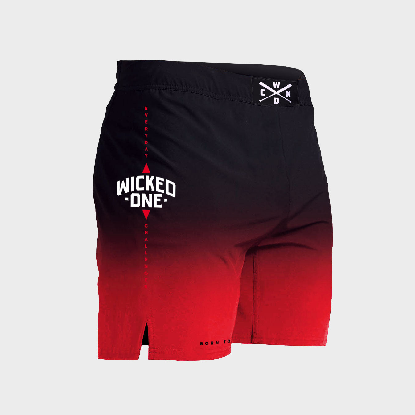 WICKED 1 X MMA SHORTS GHOST