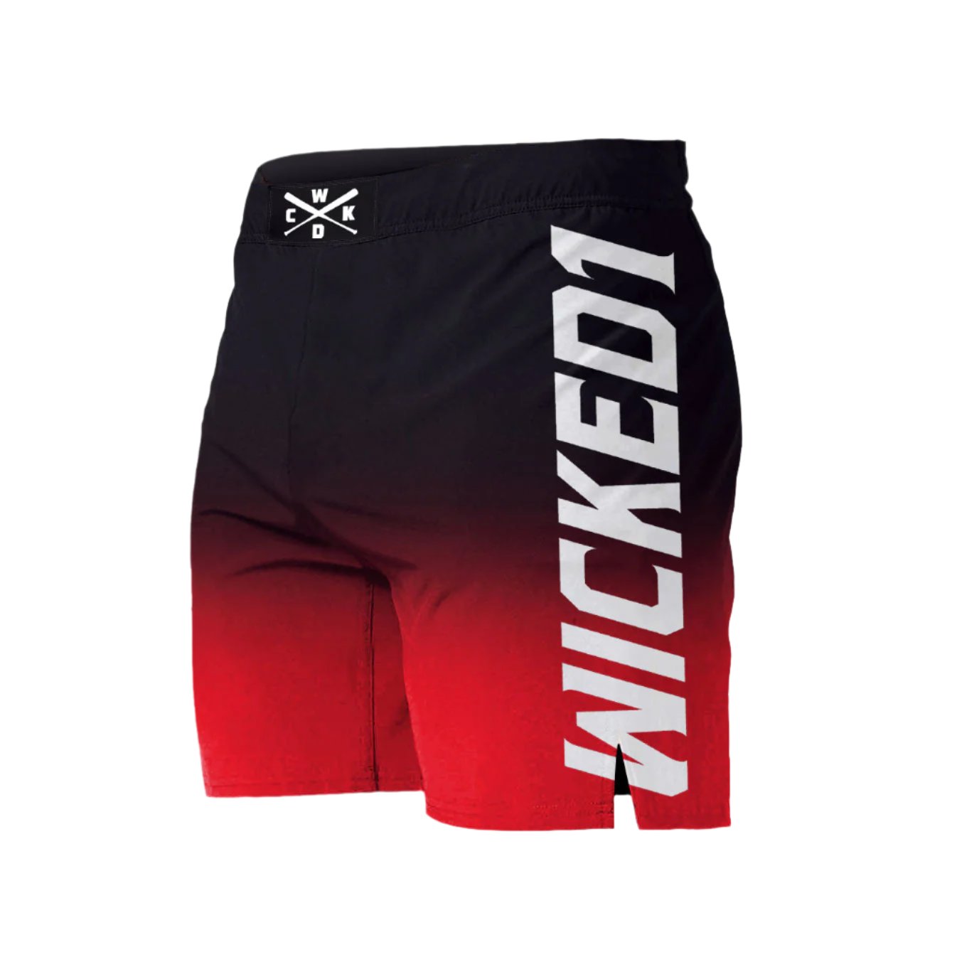 WICKED 1 X MMA SHORTS GHOST