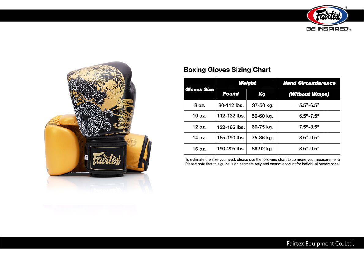 FAIRTEX GLOVES BGV26 LEATHER HOOK-AND-LOOP HARMONY SIX BOXING