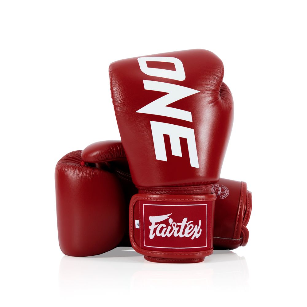 FAIRTEX GLOVES BGV1 LEATHER HOOK-AND-LOOP X ONE