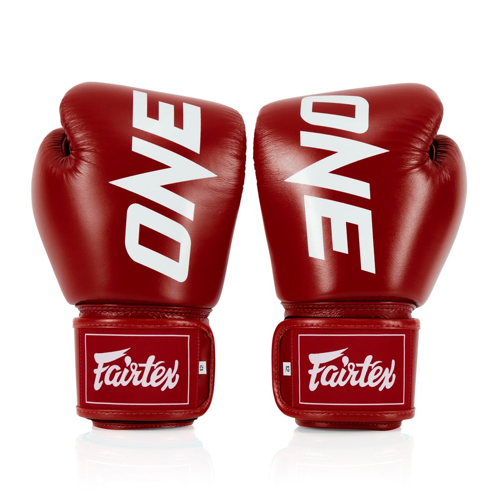 FAIRTEX GLOVES BGV1 LEATHER HOOK-AND-LOOP X ONE