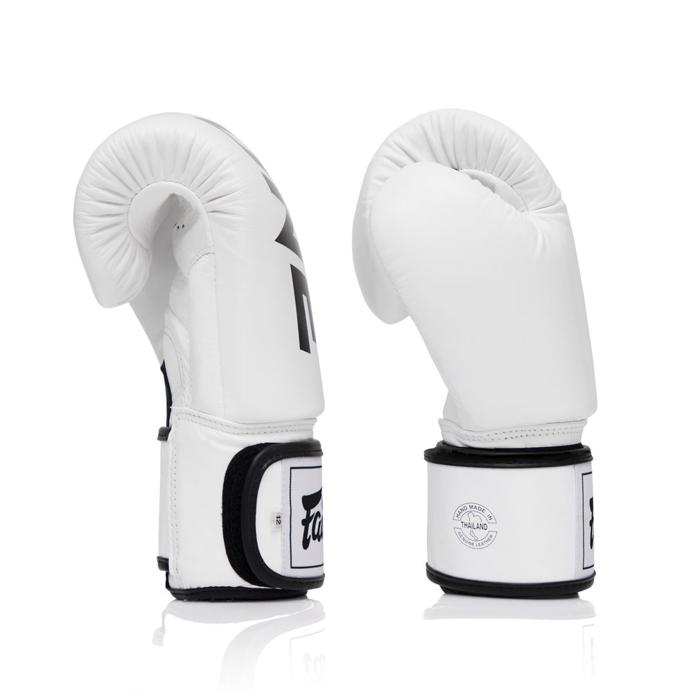 FAIRTEX GLOVES BGV1 LEATHER HOOK-AND-LOOP X ONE