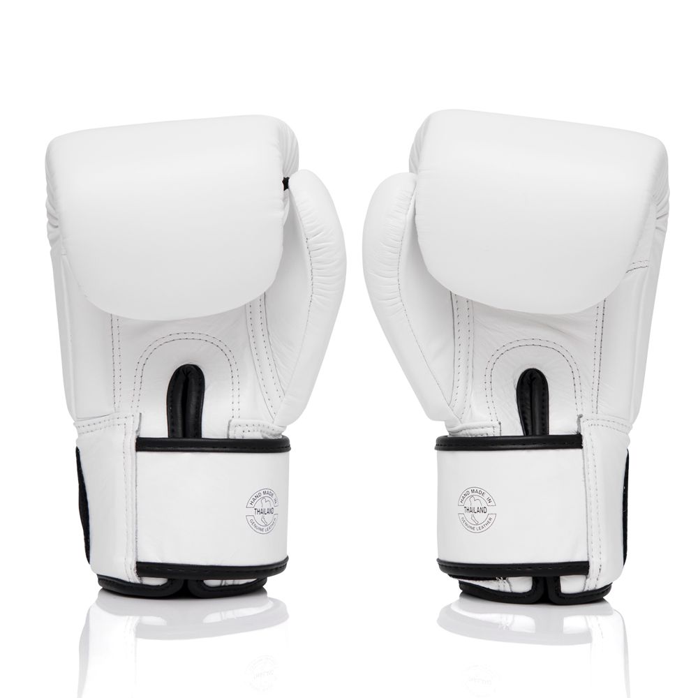 FAIRTEX GLOVES BGV1 LEATHER HOOK-AND-LOOP X ONE