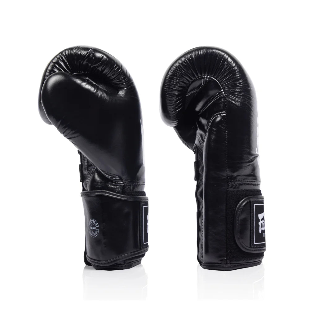 FAIRTEX GLOVES BGV EUROPE LEATHER HOOK-AND-LOOP TITAN BOXING GLOVES
