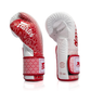FAIRTEX BOXING GLOVES BGV-R1 RWS (PREORDER)