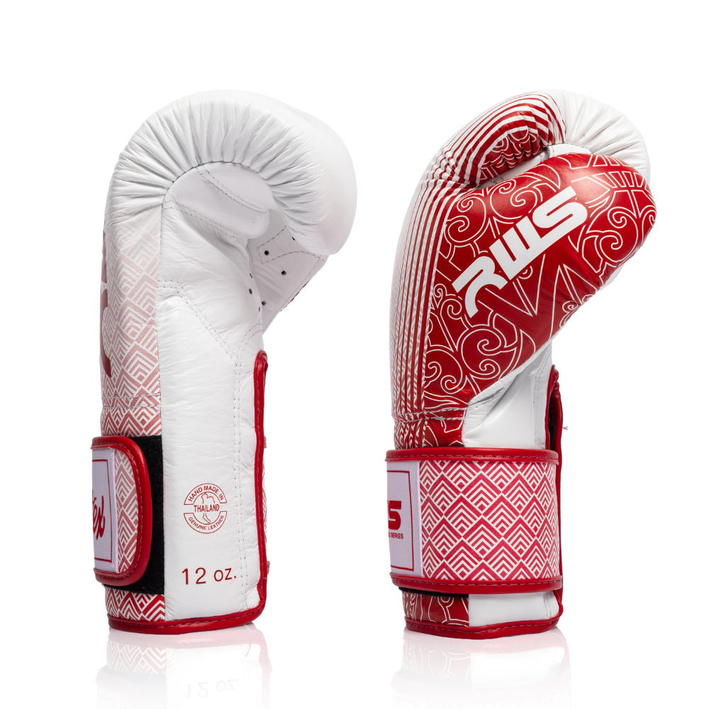 FAIRTEX BOXING GLOVES BGV-R1 RWS (PREORDER)