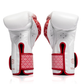 FAIRTEX BOXING GLOVES BGV-R1 RWS (PREORDER)