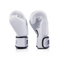 FAIRTEX GLOVES BGV1C-PLUS LEATHER HOOK-AND-LOOP