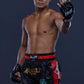 ARWUT MUAYTHAI BOXING SHORTS BS3 MODEL