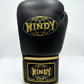 WINDY GLOVES BGVH LEATHER HOOK-AND-LOOP BOXING PROFESSIONAL CLASSIC