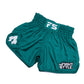 INFIGHTSTYLE SHORTS MUAY THAI FS UTILITY RETRO
