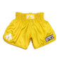 INFIGHTSTYLE SHORTS MUAY THAI FS UTILITY RETRO
