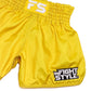 INFIGHTSTYLE SHORTS MUAY THAI FS UTILITY RETRO