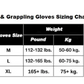 FAIRTEX GLOVES FGV18 SUPER SPARRING GRAPPLING MMA