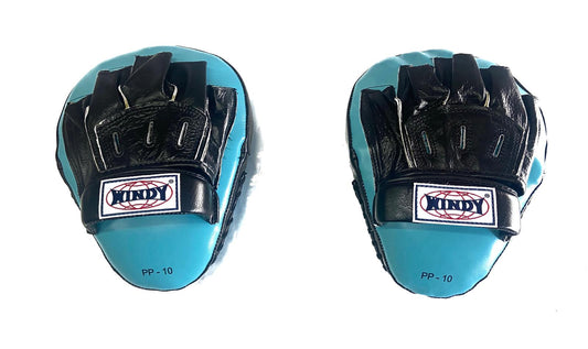 WINDY PUNCH MITTS PP-10 LEATHER FOCUS